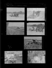 Replanting tobacco; Miscellaneous (7 Negatives), March - July 1956, undated [Sleeve 37, Folder g, Box 10]